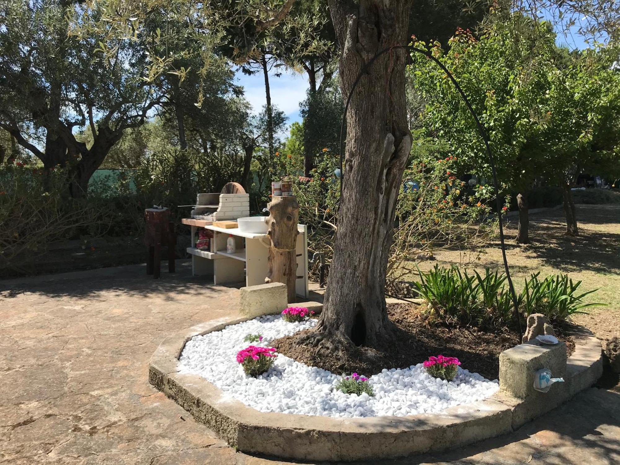 Butterfly House Bed & Breakfast Alguer Exterior foto