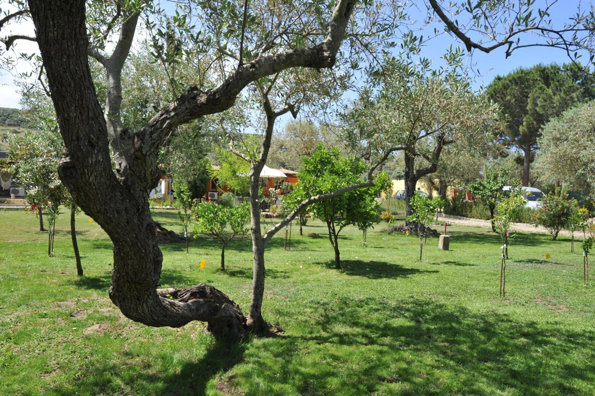 Butterfly House Bed & Breakfast Alguer Exterior foto
