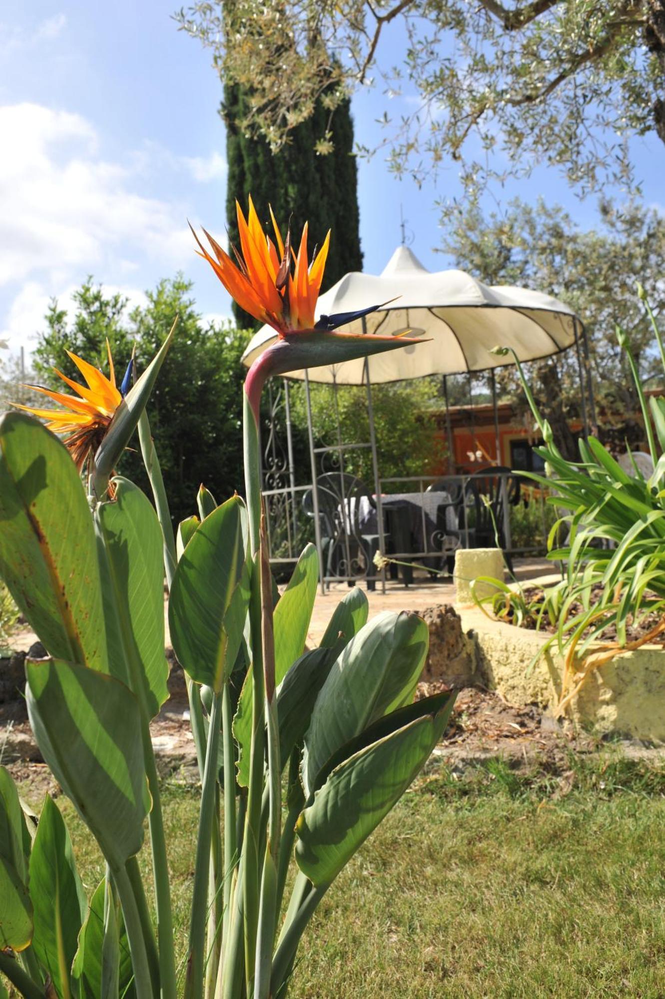 Butterfly House Bed & Breakfast Alguer Exterior foto